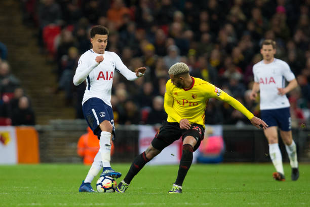 市场趋势及 市场趋势及